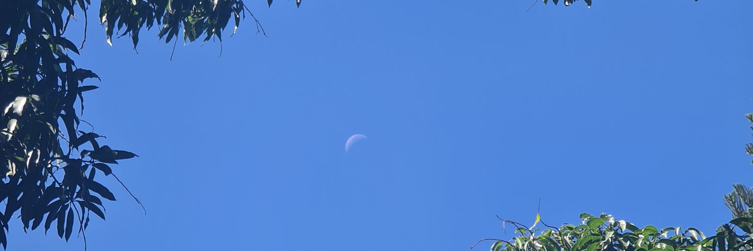 Pancho Sans 🍁 banner