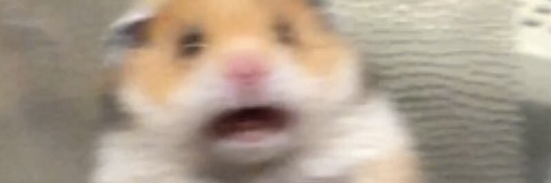 lonzakelly's profile banner image