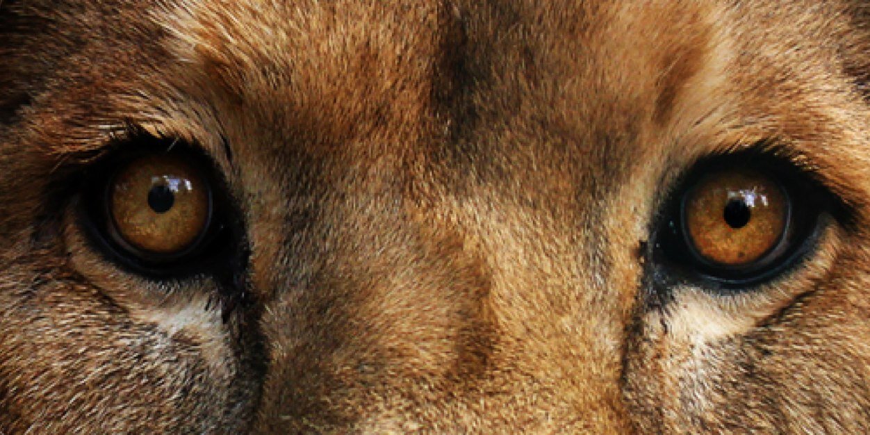 guydoe's profile banner image