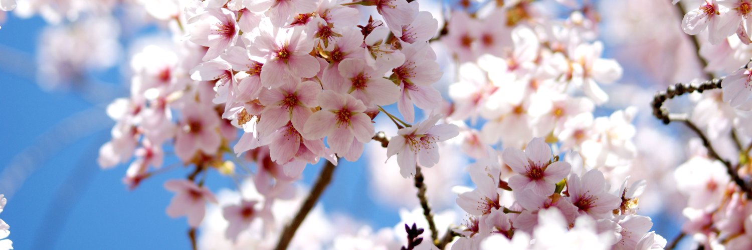 selectfromjenny's profile banner image