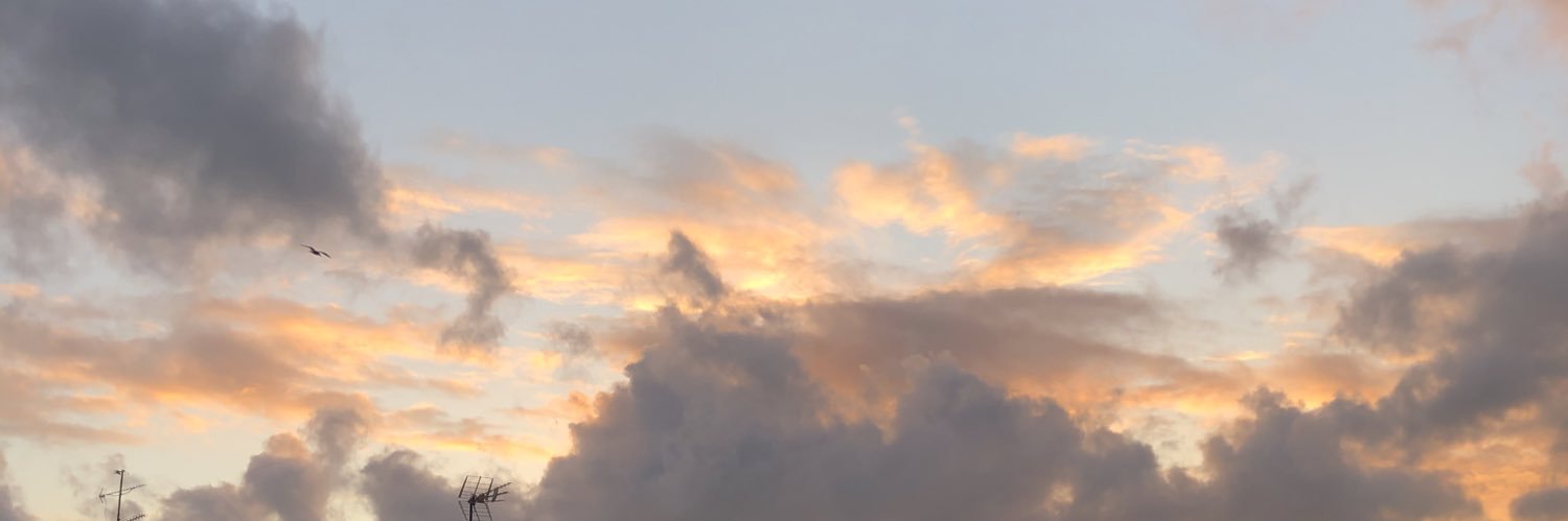 antiiarial's profile banner image