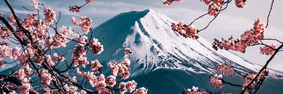 路过偷个菜 banner