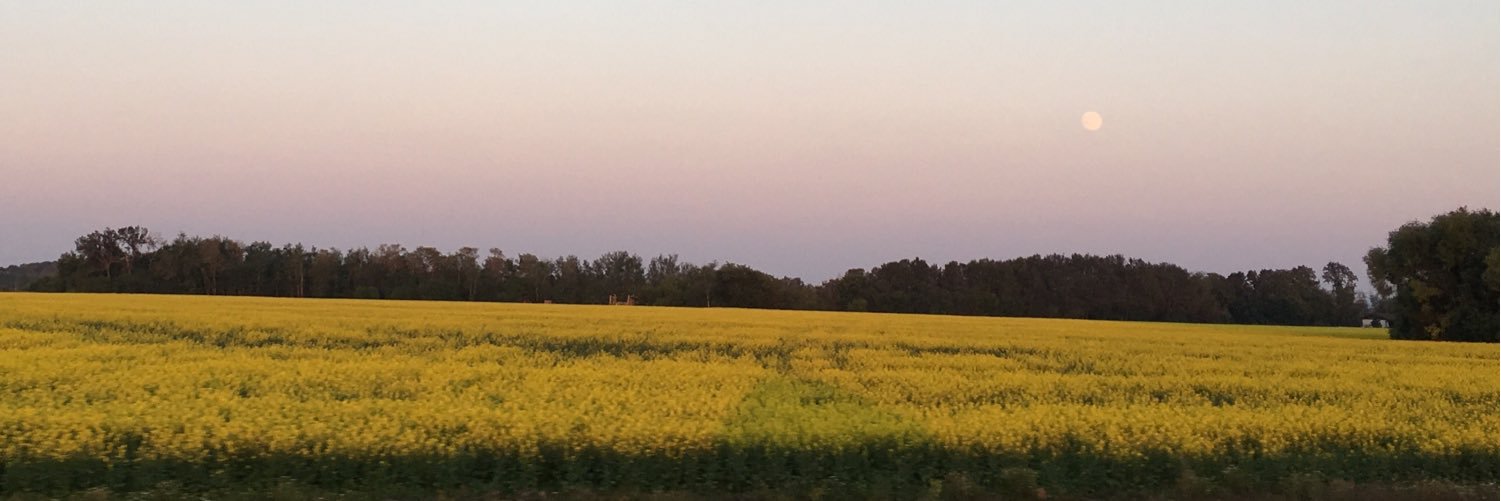 MVestbee's profile banner image