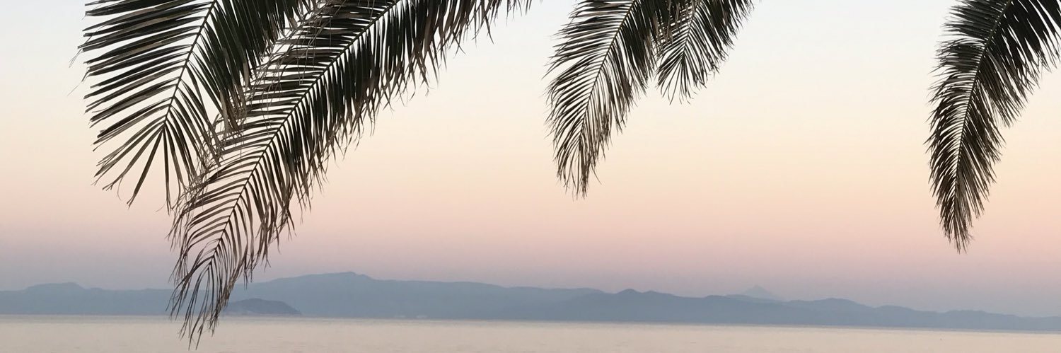 dina_ve's profile banner image