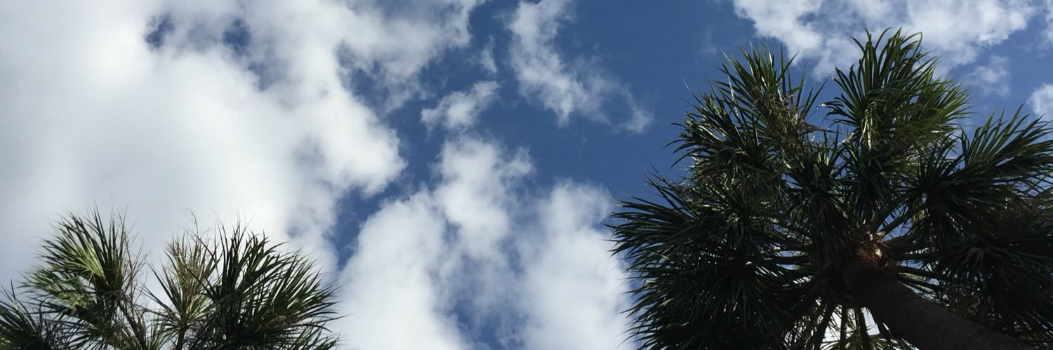Driiaaa's profile banner image