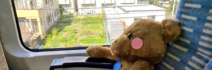 ゆっくまー@YouTubeクマ旅ｃｈ's banner