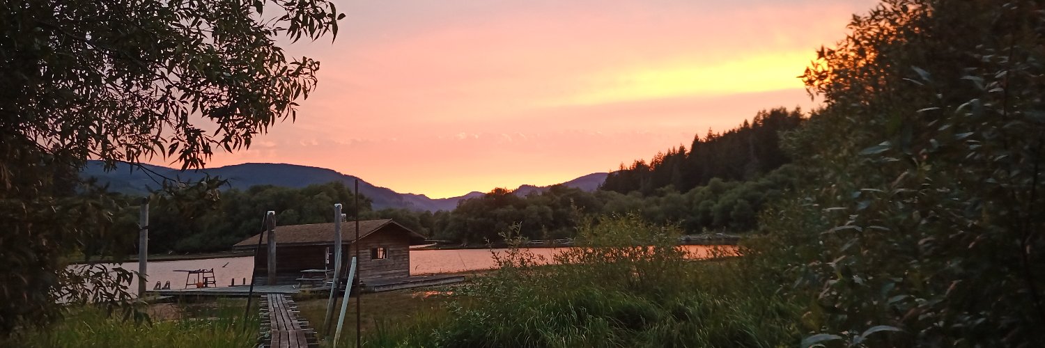 Manfred Moser banner