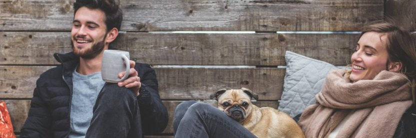 KellysBestDogs's profile banner image
