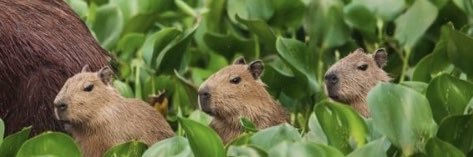 kylehilts12's profile banner image