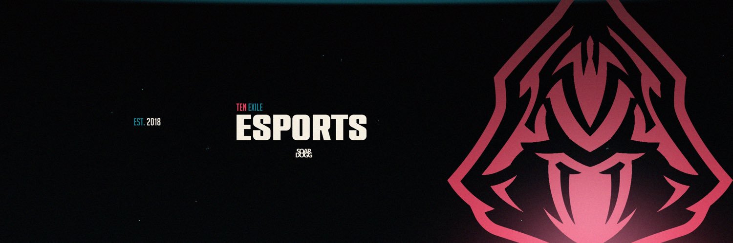 Ten Exile Esports banner