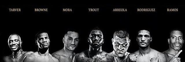 TroutFans's profile banner image