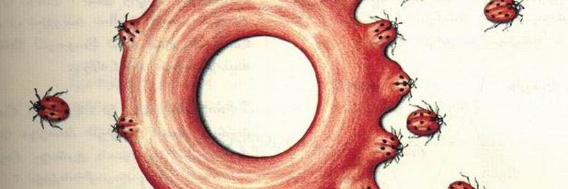 fabiogalimberti's profile banner image