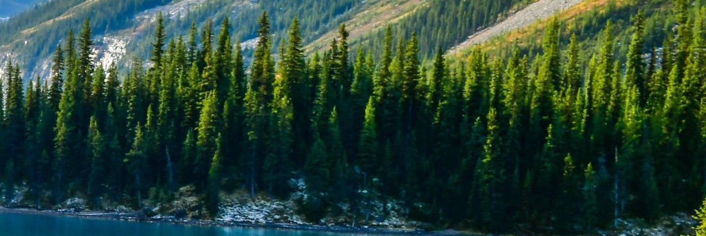 JLsmith97's profile banner image