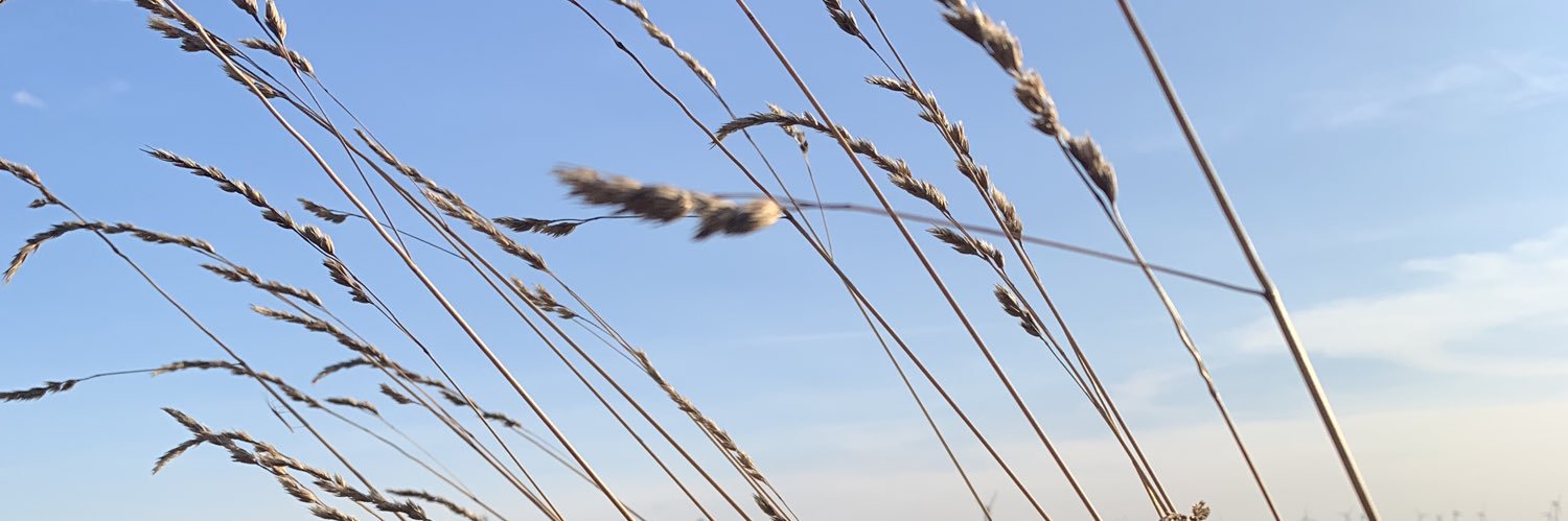 Nika Schleifchen 🎀 das Original banner