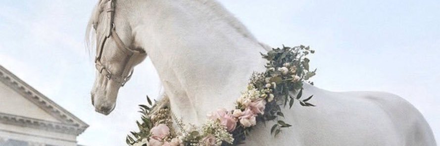 ifozalgh_'s profile banner image