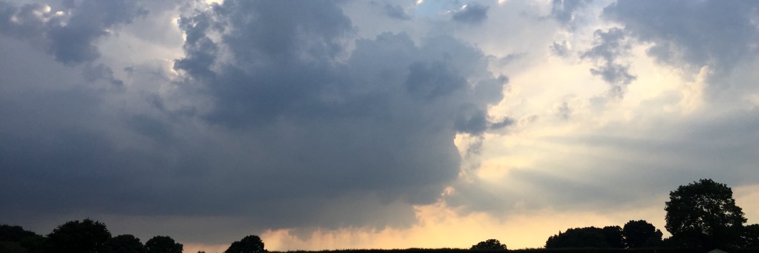 Vicki George banner