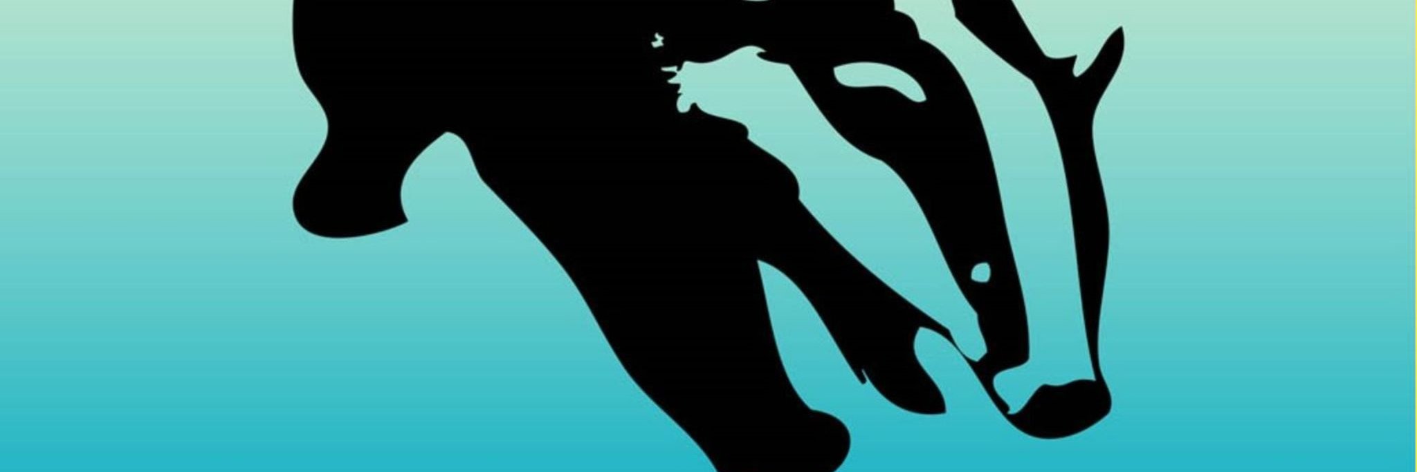 BadgerYoutube's profile banner image