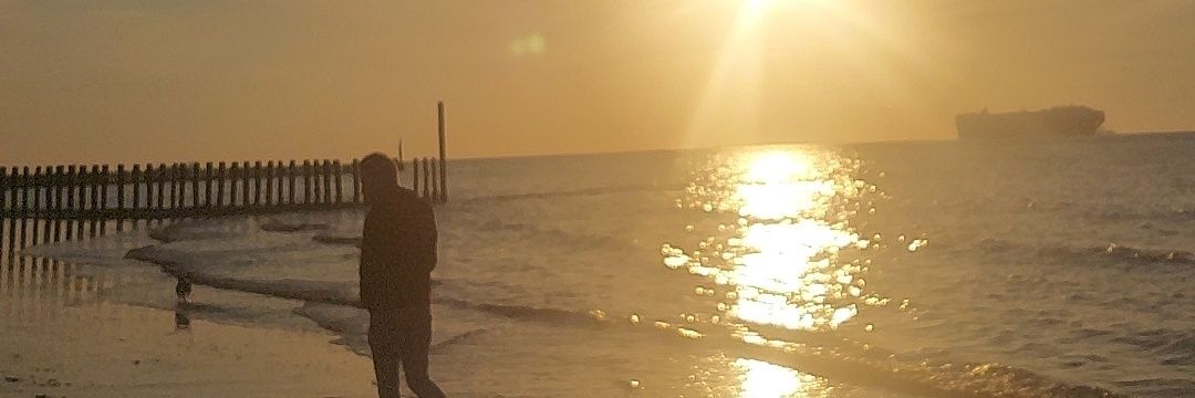 Iizzerd's profile banner image