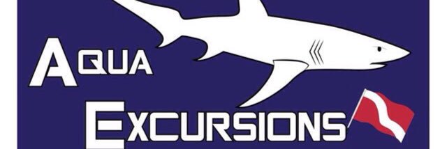 UTWdiving's profile banner image