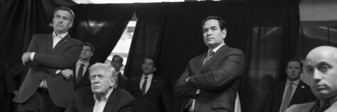 T.V. 🇺🇸🐭 banner