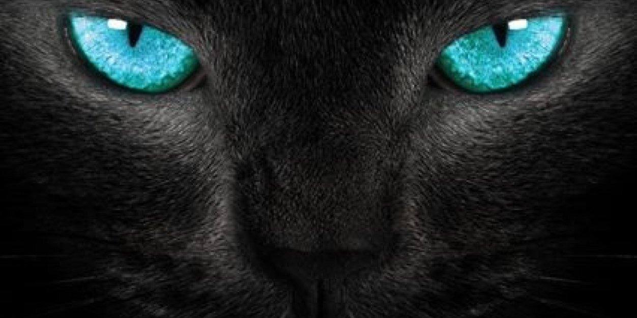 BCortecci's profile banner image