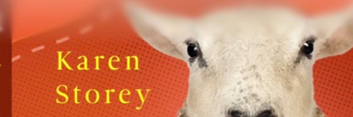 Karen Storey banner