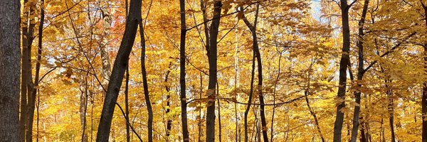 StarkClimate Profile Banner