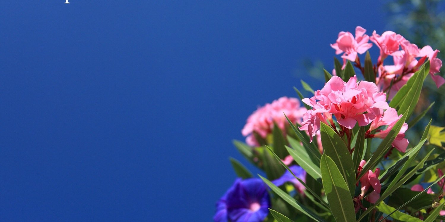 Intertouch's profile banner image