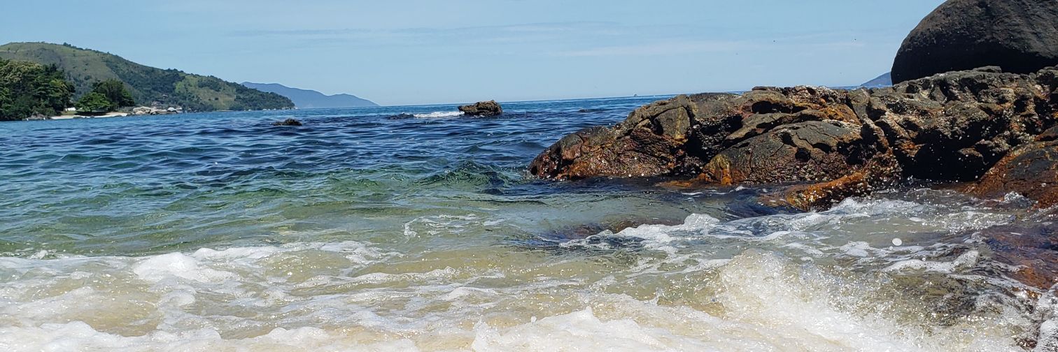 Grocardoso's profile banner image