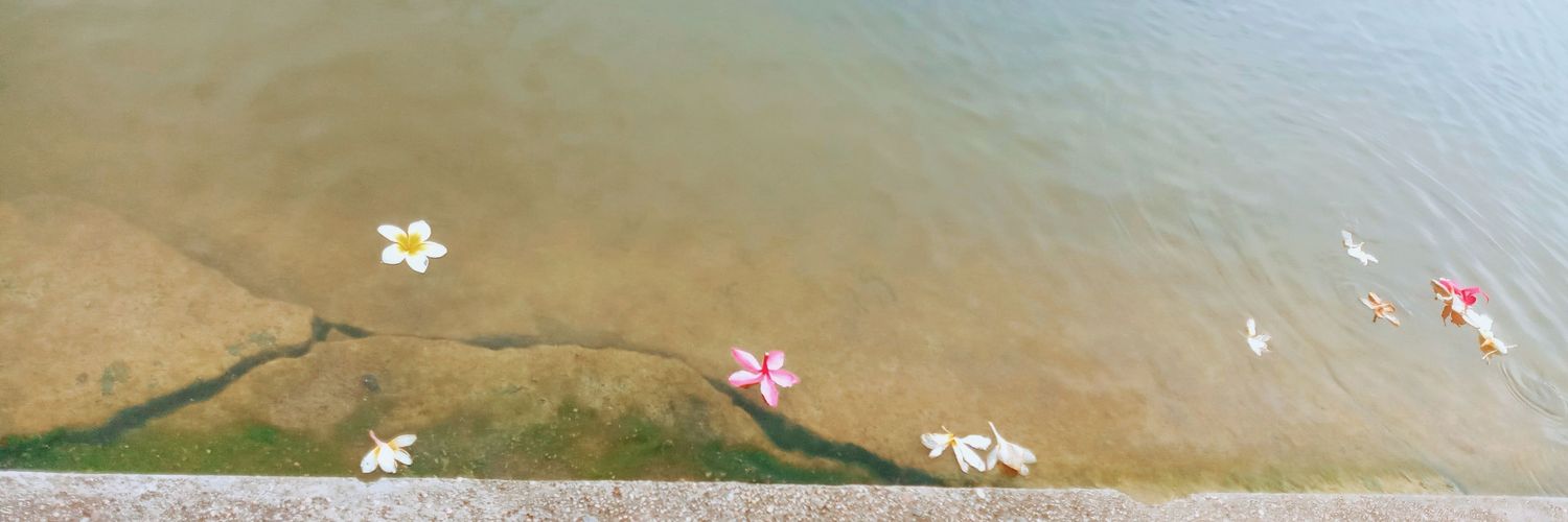 Pan19 banner