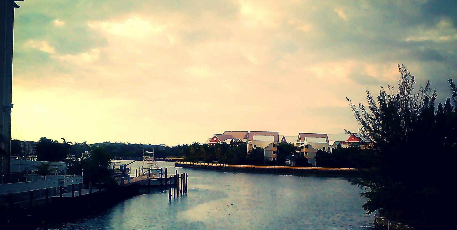 lethera_bg's profile banner image