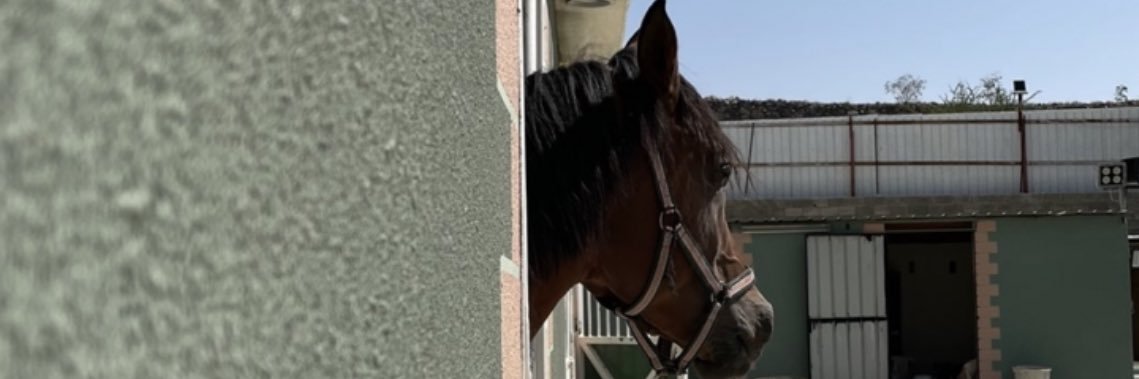 pt_RTR's profile banner image