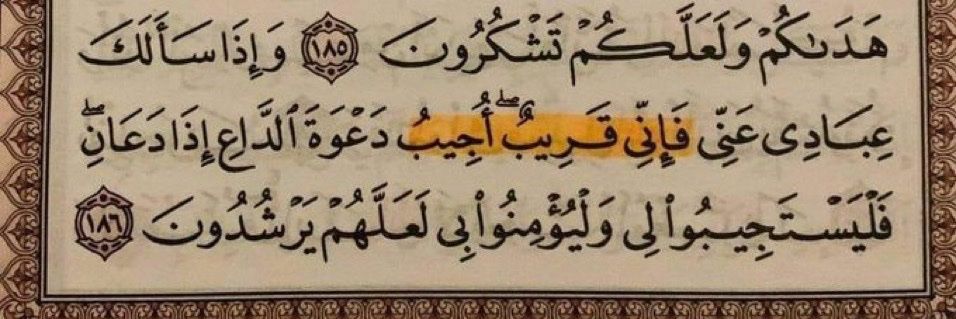 مُصطفى | Mustafa banner