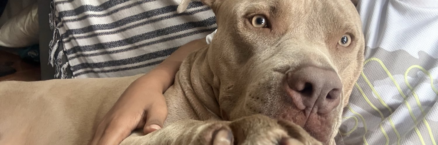 MxMadu's profile banner image