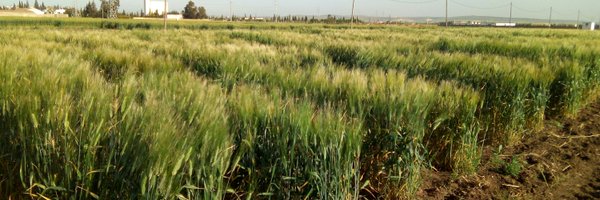 HafssaKabbaj Profile Banner