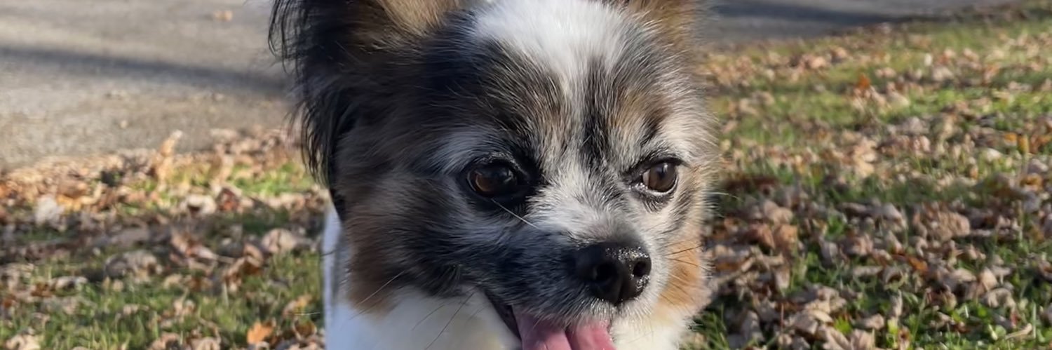 caclauuu's profile banner image