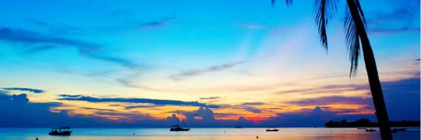 James Richard banner