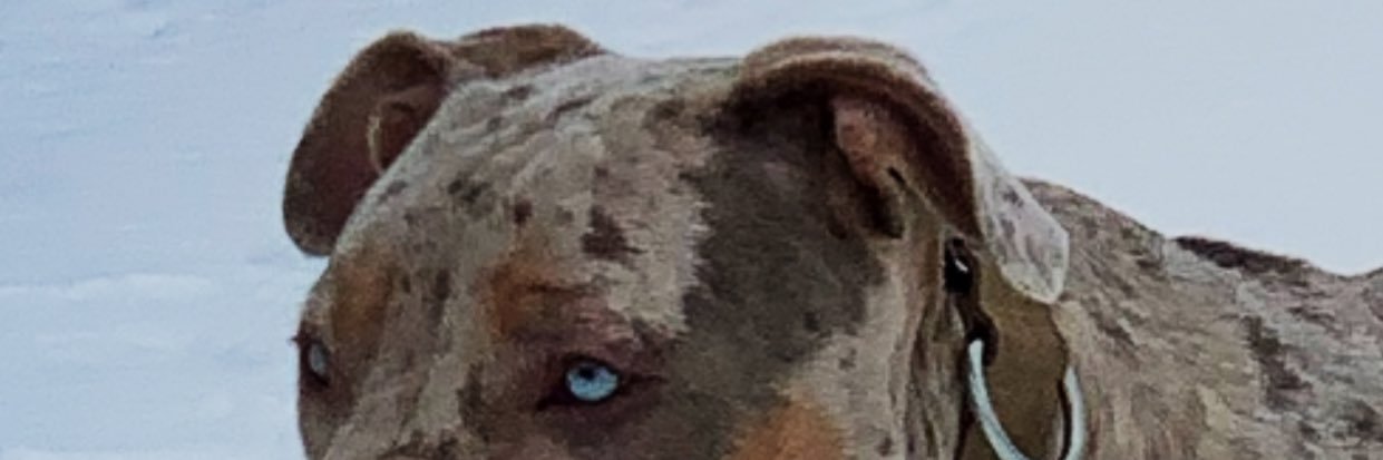 Sam Cornwall banner