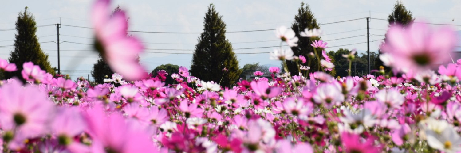 穏やか banner
