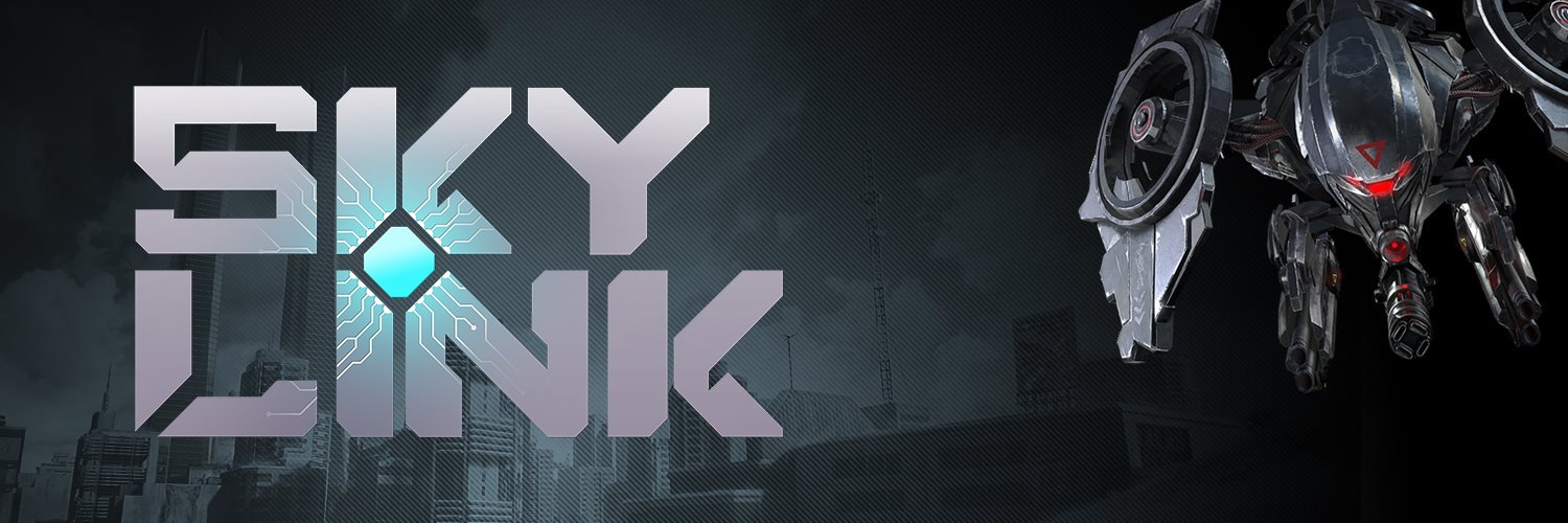 Sky Link banner