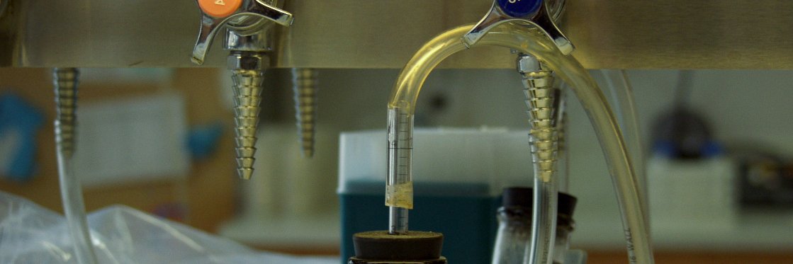 APS CV Section banner