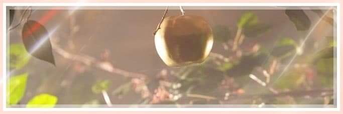 OfGoldenFruit's profile banner image