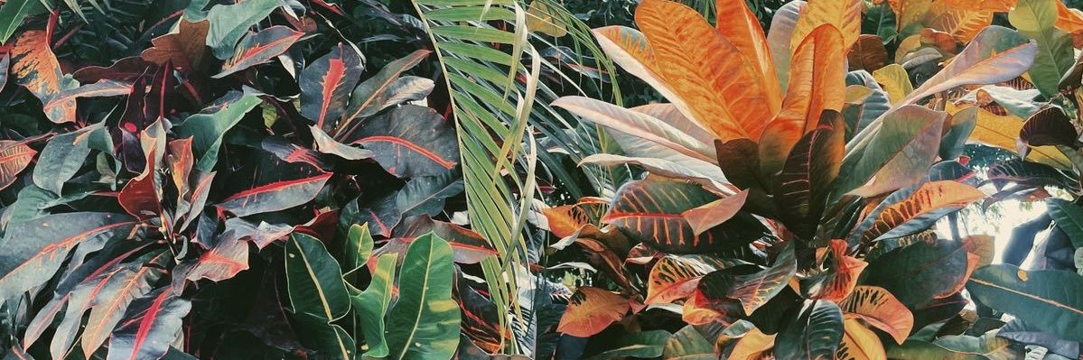 mbluna2's profile banner image