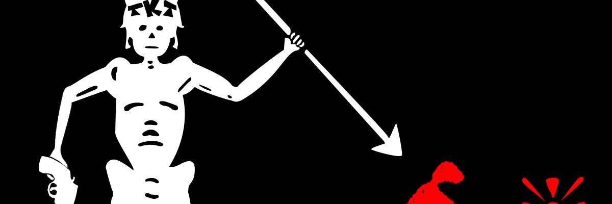 drgsier banner