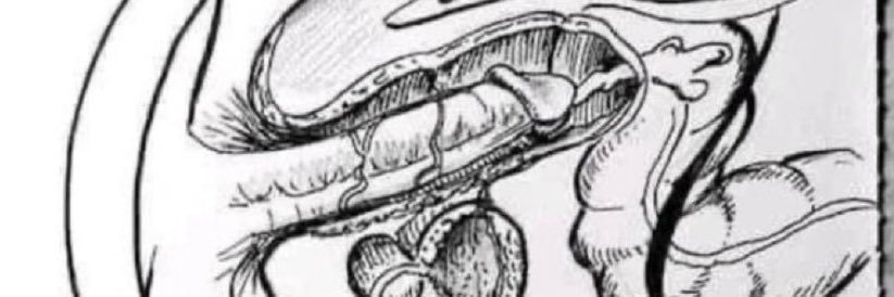 PjSamma's profile banner image