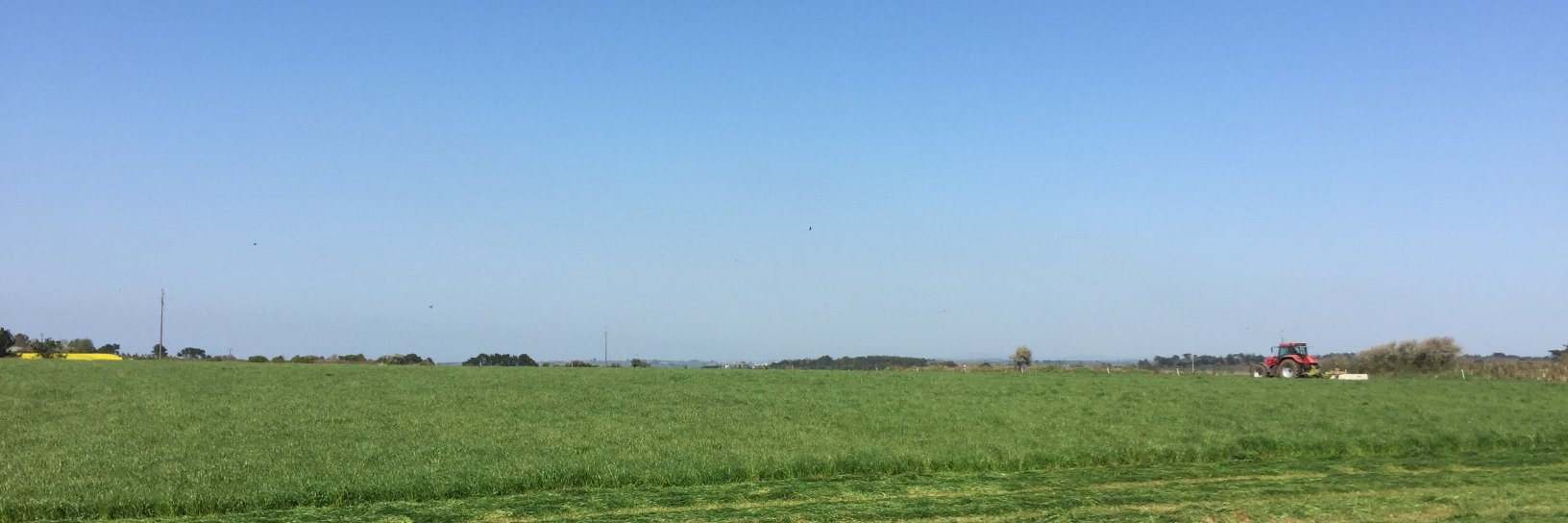 Julien Legrix banner