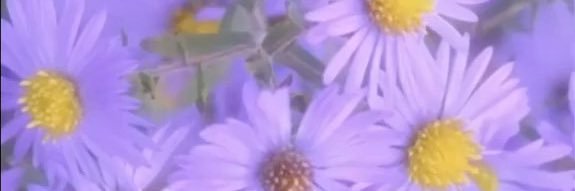 Its_Fairann's profile banner image