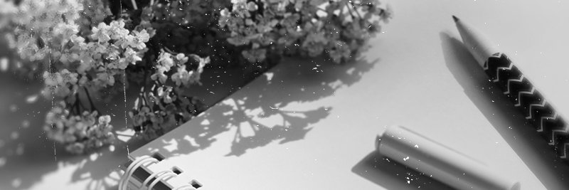 jhecate's profile banner image