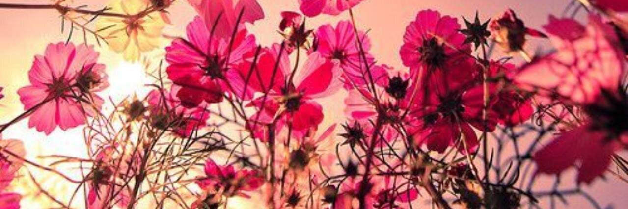 _KarenSC's profile banner image