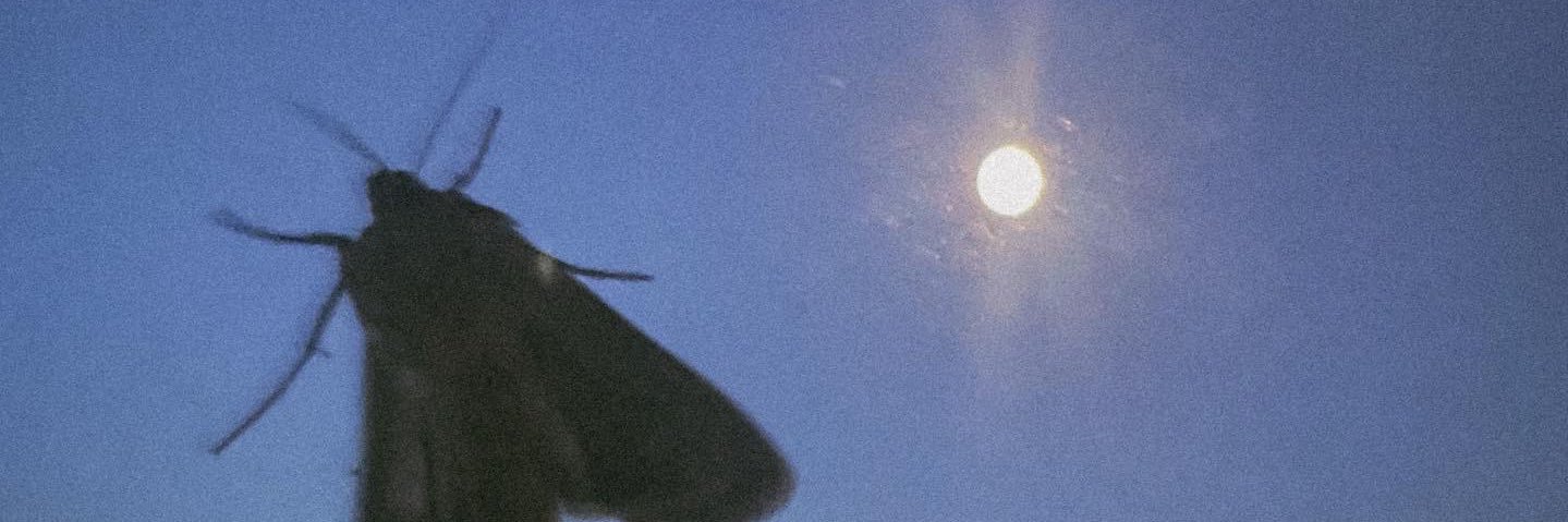 z0mbae_'s profile banner image